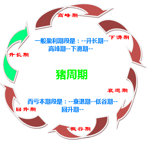 如何破解價格怪圈 化解“豬周期”風險？
