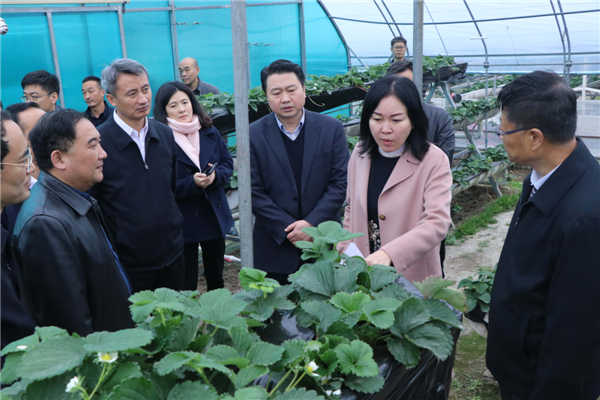 “質(zhì)量興農(nóng)萬里行”陜西站活動花落安康、走進漢濱、風起陽晨
